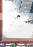 元妻望烟小说全文免费阅读